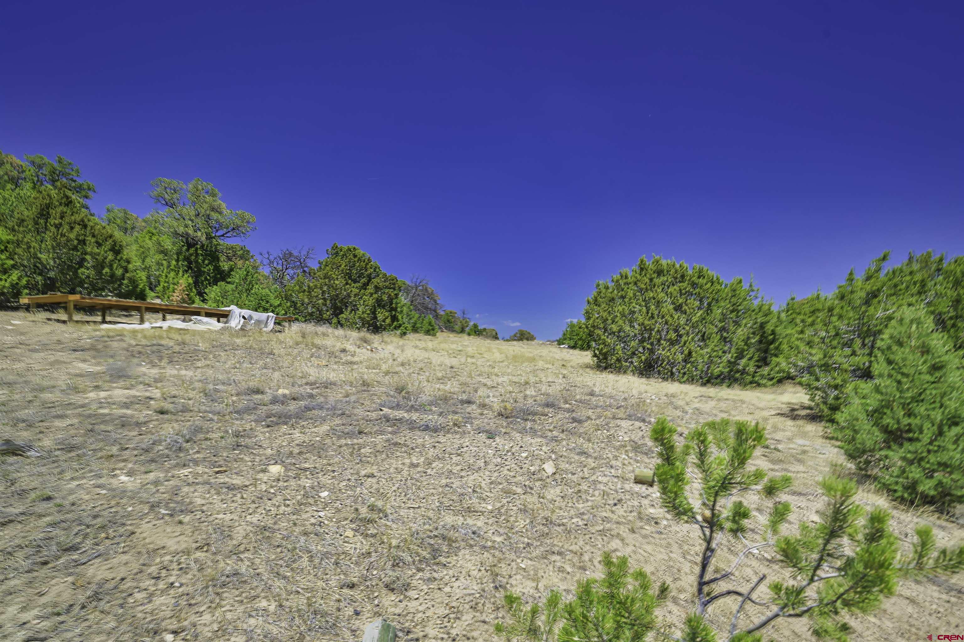 Tbd Tbd Rikki Rowdy Place Aguilar, CO 81020 - Photo 41 of 45