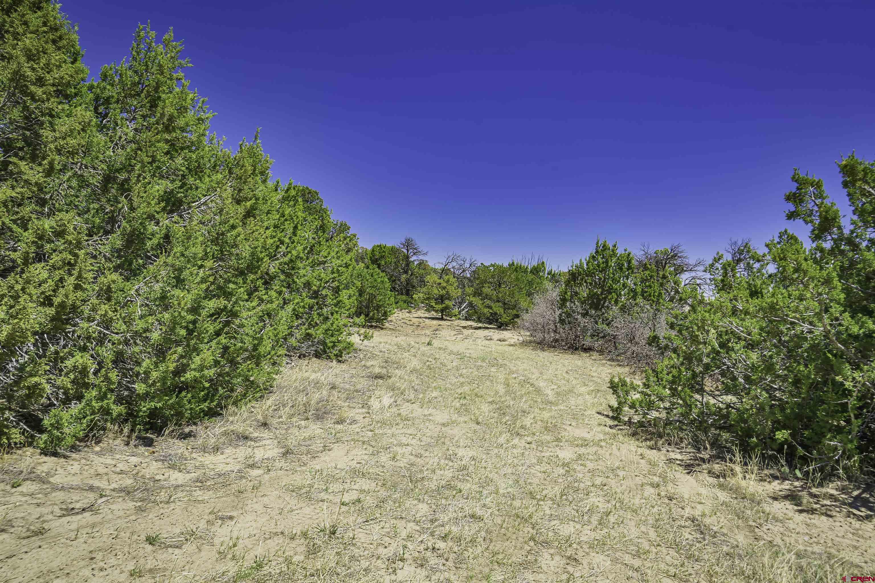 Tbd Tbd Rikki Rowdy Place Aguilar, CO 81020 - Photo 42 of 45