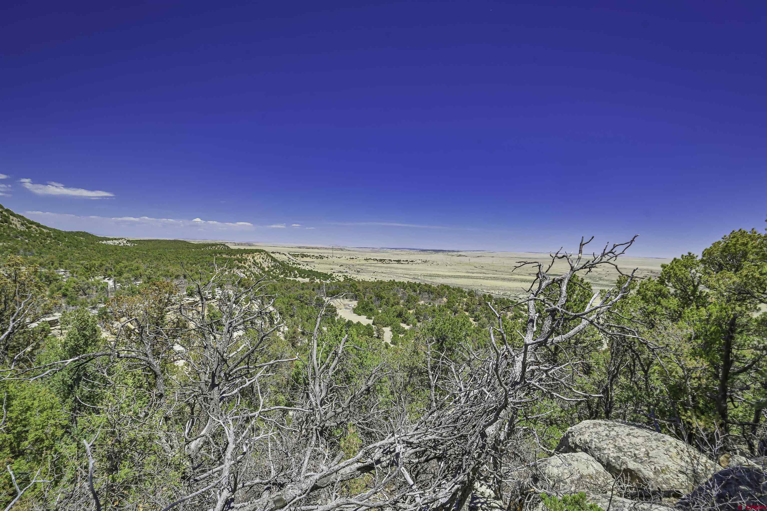 Tbd Tbd Rikki Rowdy Place Aguilar, CO 81020 - Photo 5 of 45
