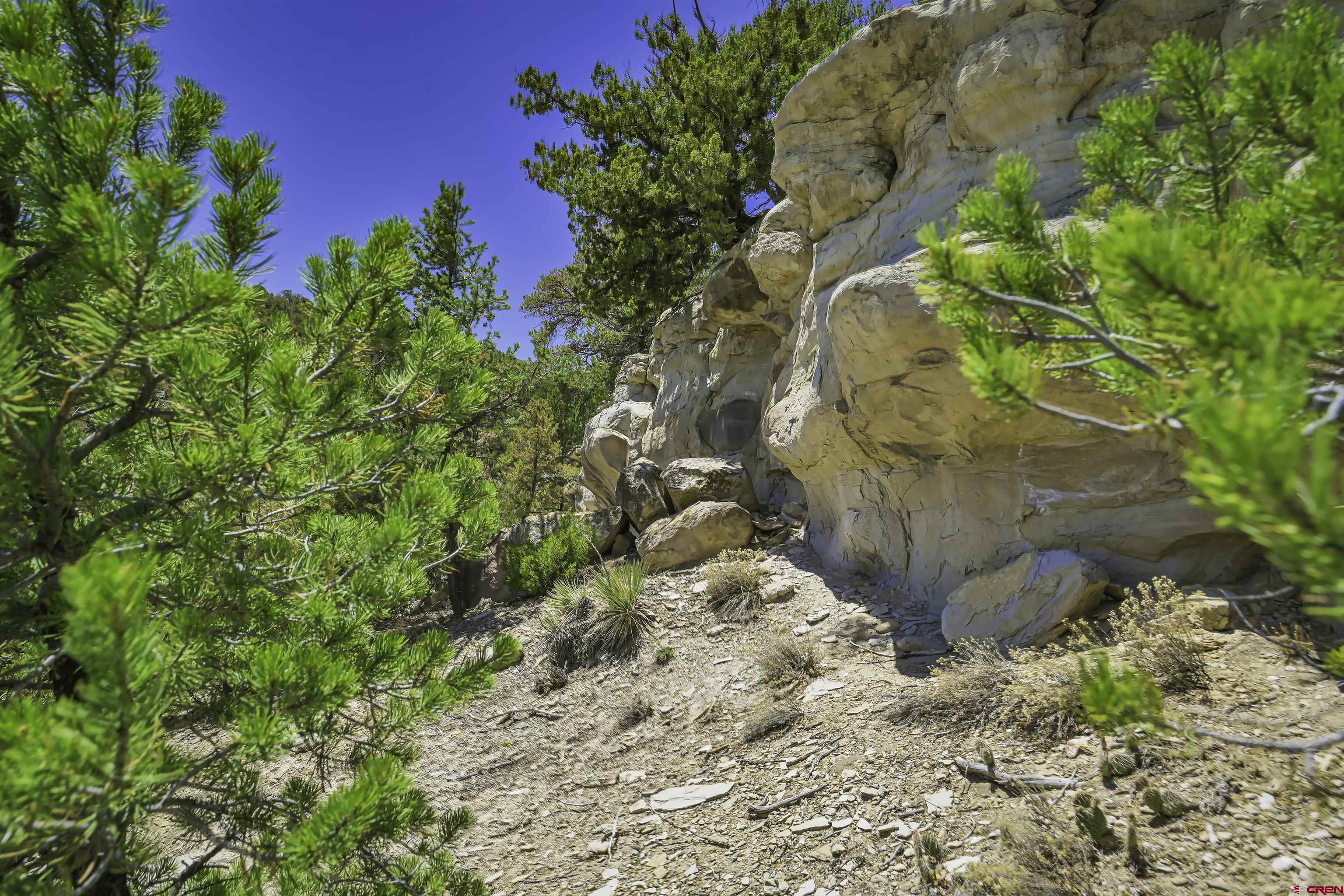 Tbd Tbd Rikki Rowdy Place Aguilar, CO 81020 - Photo 6 of 45