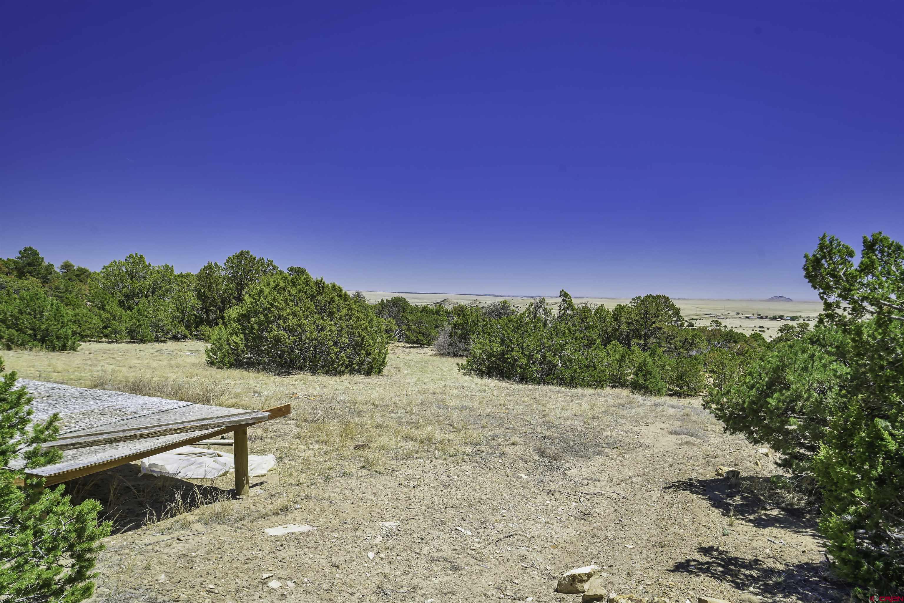 Tbd Tbd Rikki Rowdy Place Aguilar, CO 81020 - Photo 7 of 45