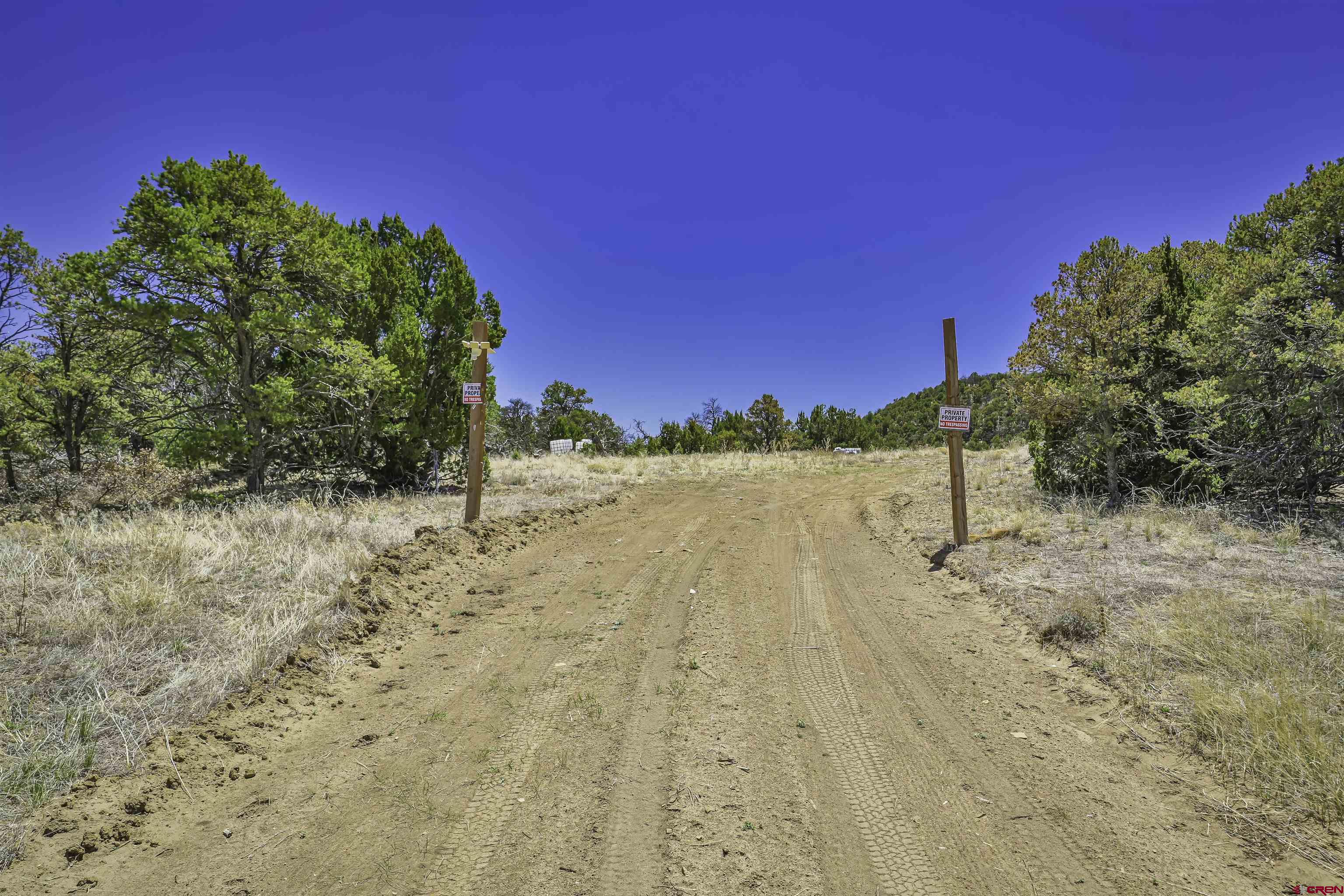 Tbd Tbd Rikki Rowdy Place Aguilar, CO 81020 - Photo 8 of 45