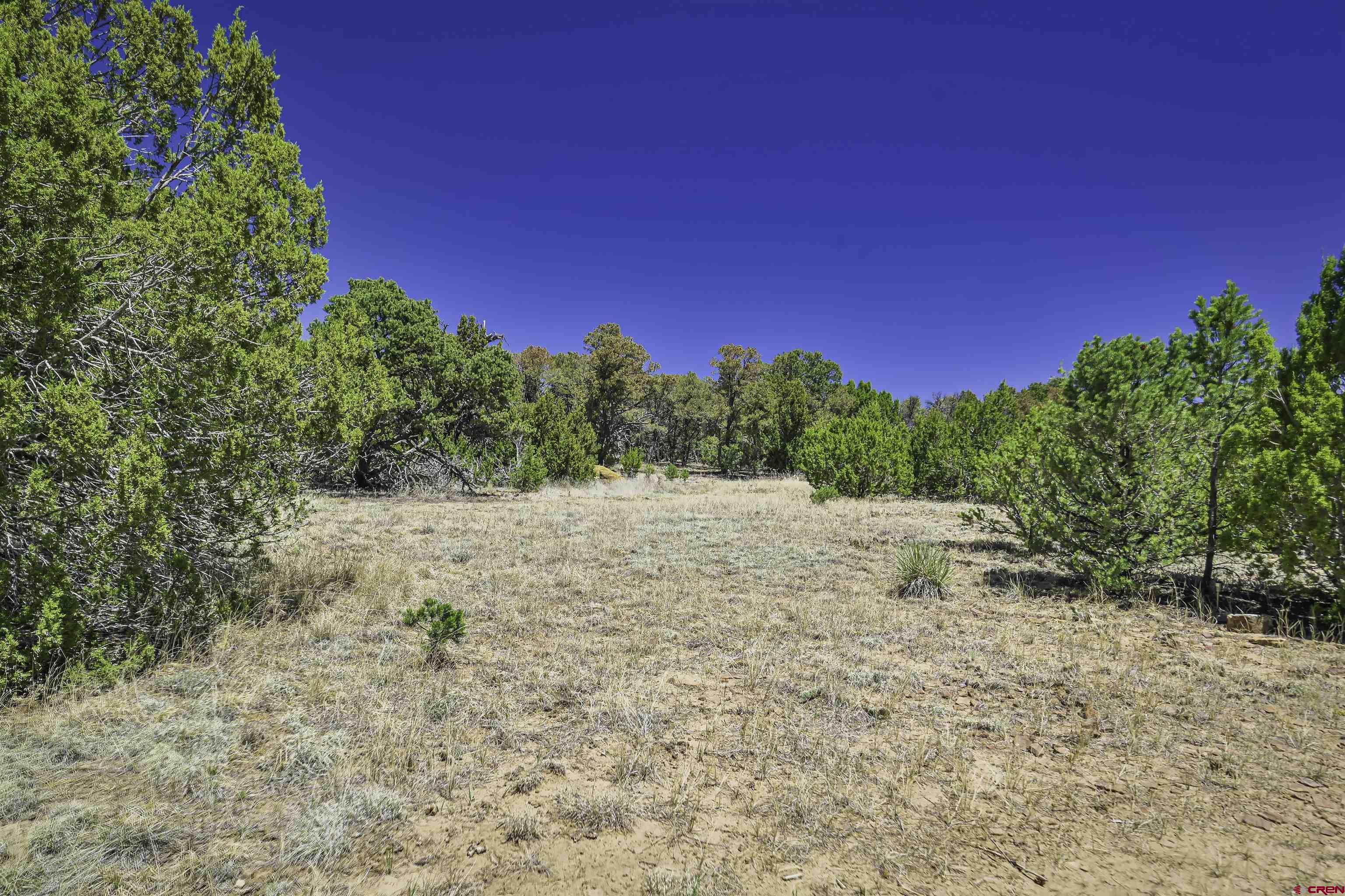 Tbd Tbd Rikki Rowdy Place Aguilar, CO 81020 - Photo 10 of 45