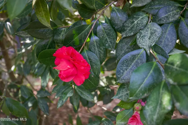 $599,000 | 264 East Indiana Avenue, Southern Pines, NC 28387