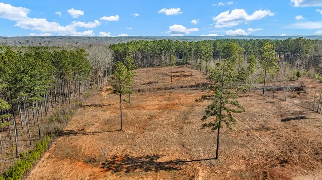 $450,000 | 174 Lee Road 2150, Cusseta, AL 36852