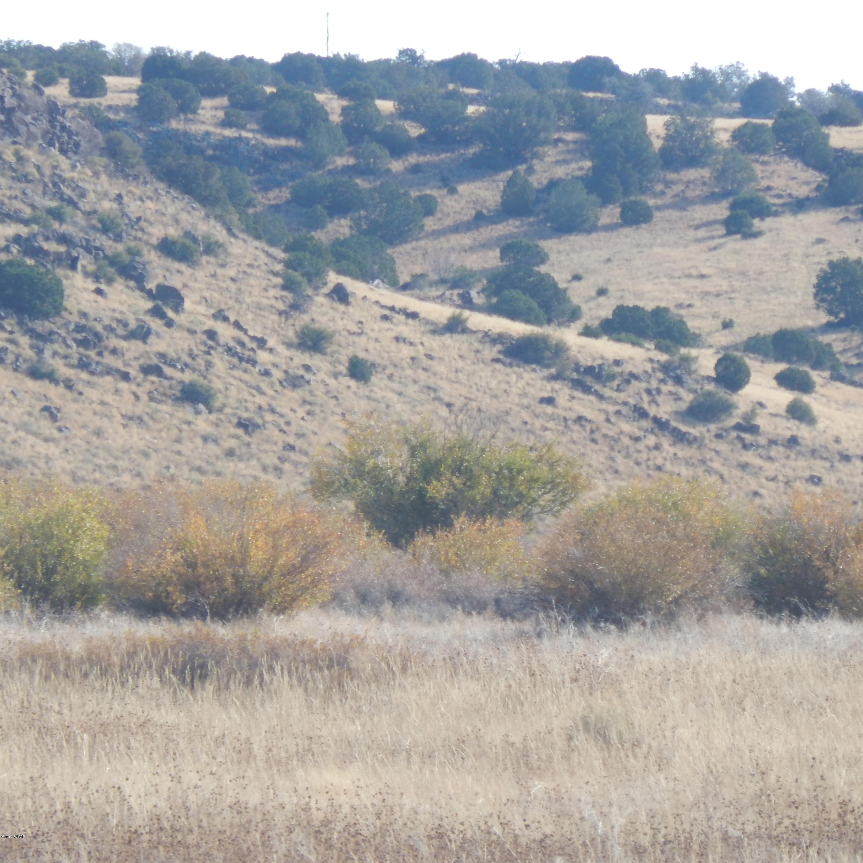 60 Rd Springerville Az 85938 Road Springerville, AZ 85938 - Photo 1 of 1