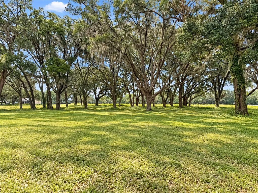 104 Southwest 104th Street Road Ocala, FL 34476 - Photo 14 of 19 Gallery Image 14