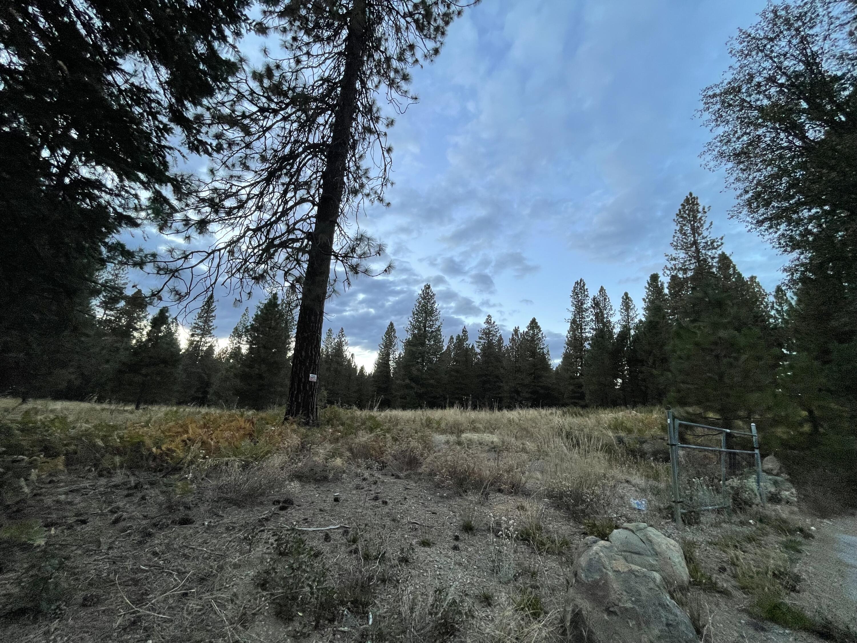 0 Forest Road McCloud, CA 96057 - Photo 5 of 11 IMG_7552