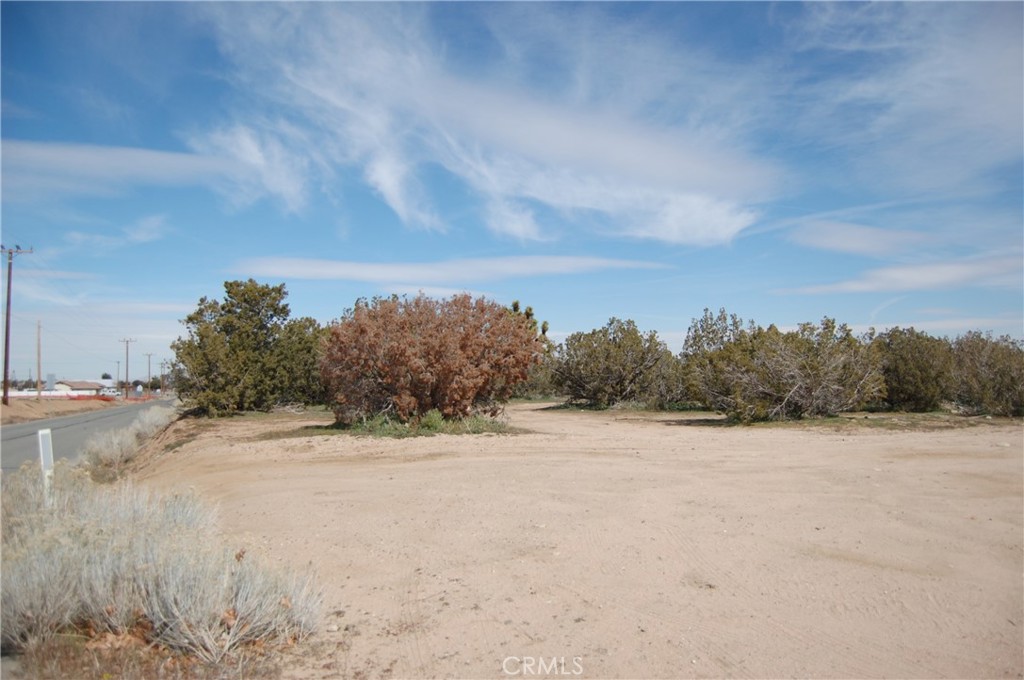 17111 Ranchero Street Hesperia, CA 92345 - Photo 12 of 13 a view of road with trees in background