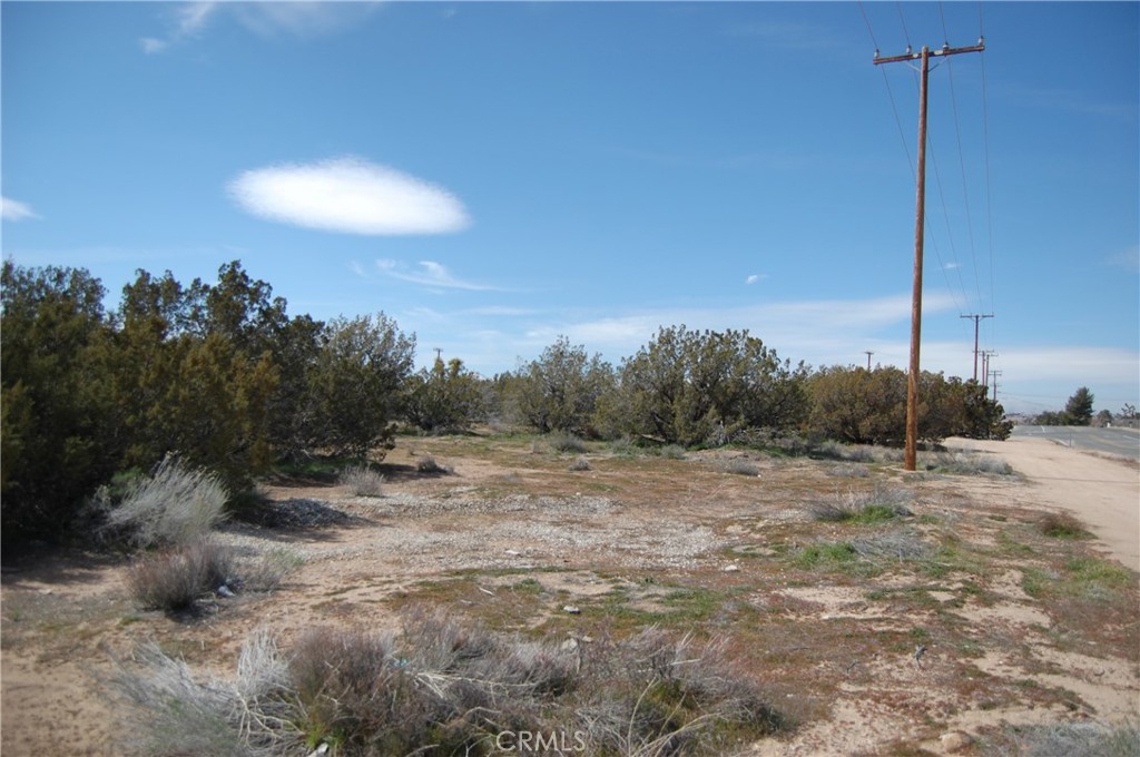 17111 Ranchero Street Hesperia, CA 92345 - Photo 9 of 13 a view of a road with a tree