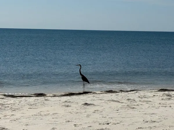 $475,000 | 1187 Alligator Drive, Alligator Point, FL 32346