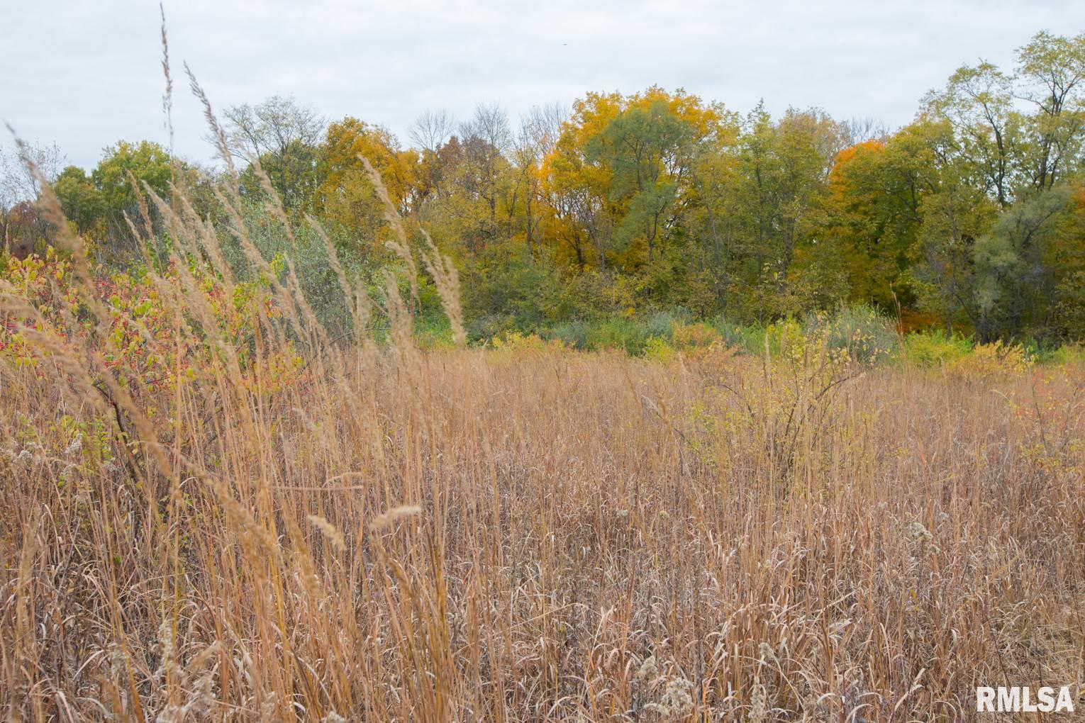 0 South Lightbody Road Glasford, IL 61533 - Photo 11 of 31 Gallery Image 11