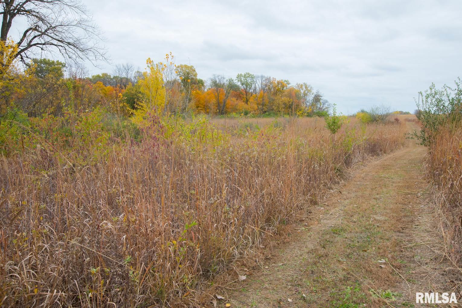 0 South Lightbody Road Glasford, IL 61533 - Photo 14 of 31 Gallery Image 14