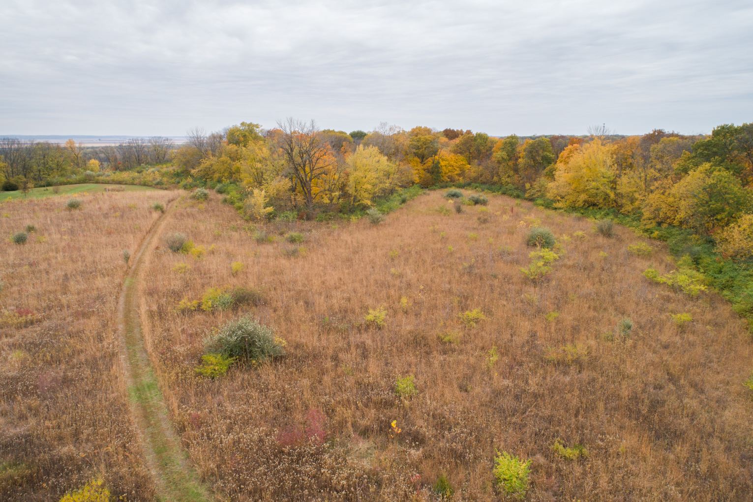 0 South Lightbody Road Glasford, IL 61533 - Photo 15 of 31 Gallery Image 15