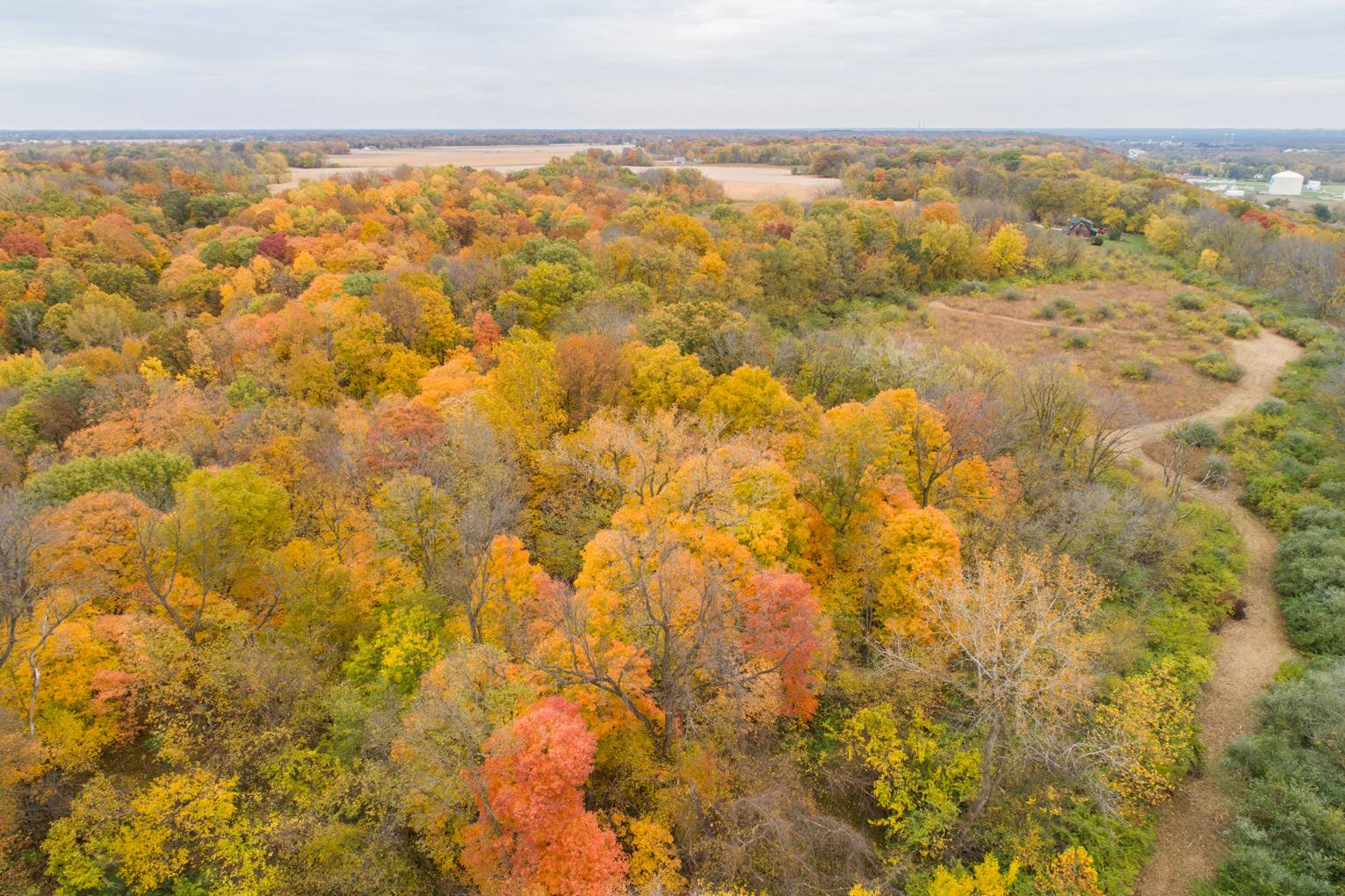 0 South Lightbody Road Glasford, IL 61533 - Photo 24 of 31 Gallery Image 24
