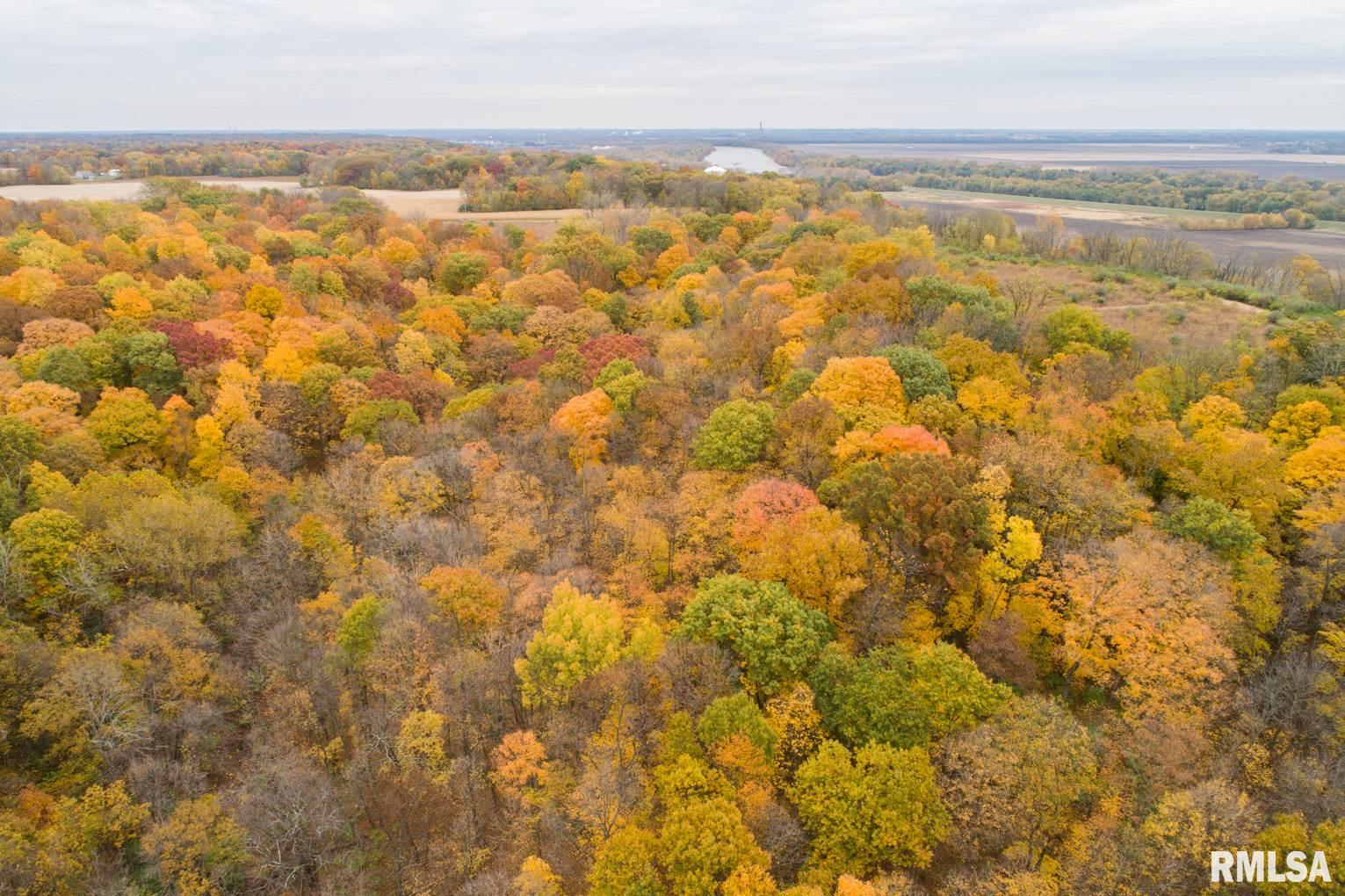 0 South Lightbody Road Glasford, IL 61533 - Photo 25 of 31 Gallery Image 25