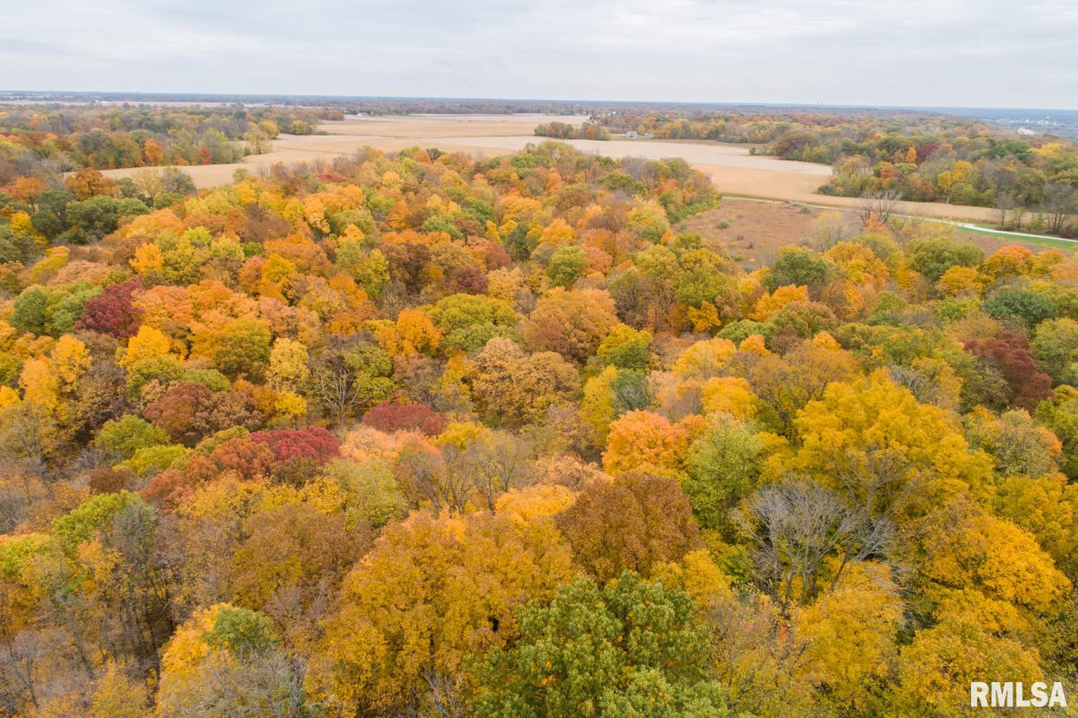 0 South Lightbody Road Glasford, IL 61533 - Photo 30 of 31 Gallery Image 30