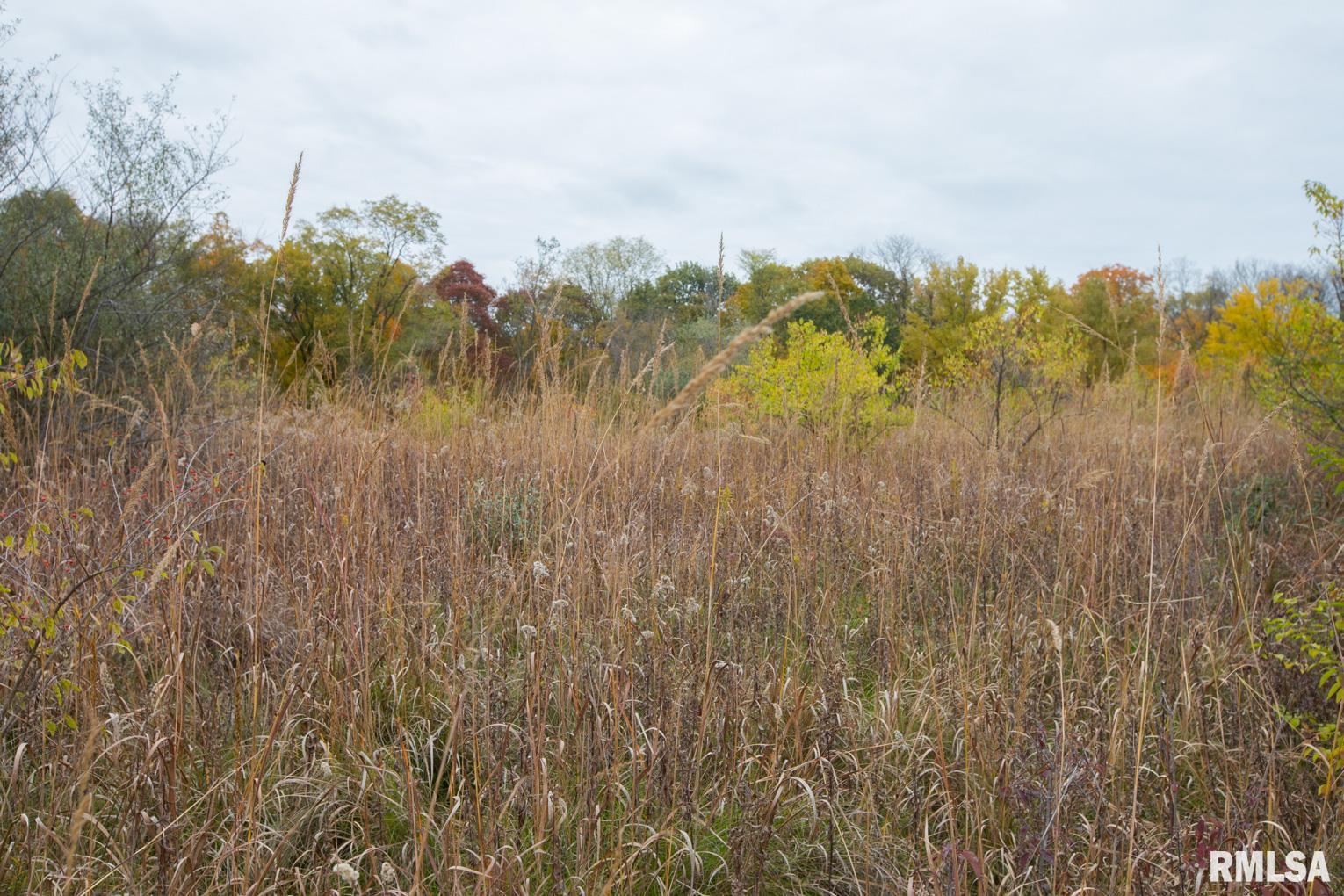 0 South Lightbody Road Glasford, IL 61533 - Photo 10 of 31 Gallery Image 10