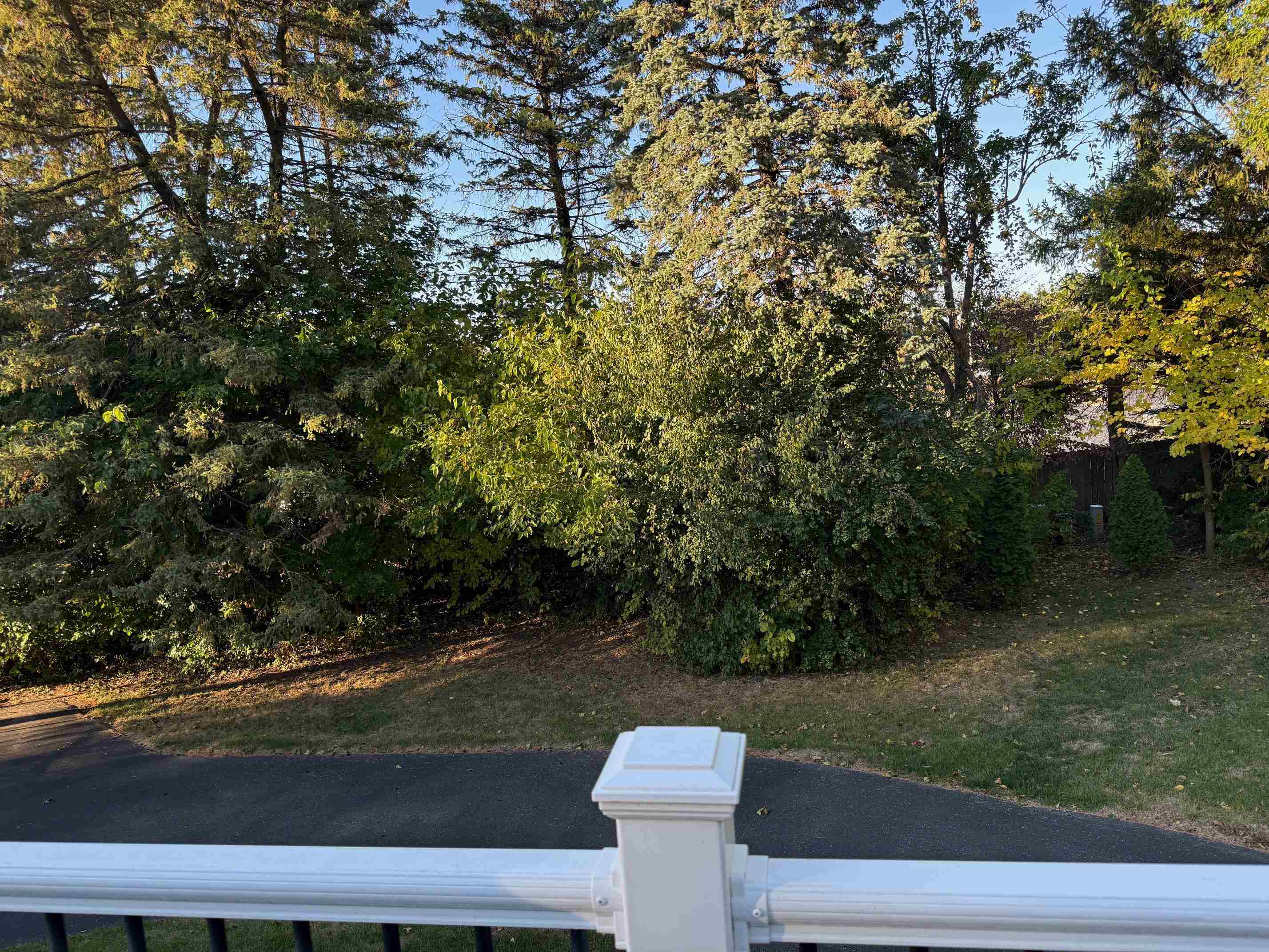 2411 5th Street Monroe, WI 53566 - Photo 42 of 49