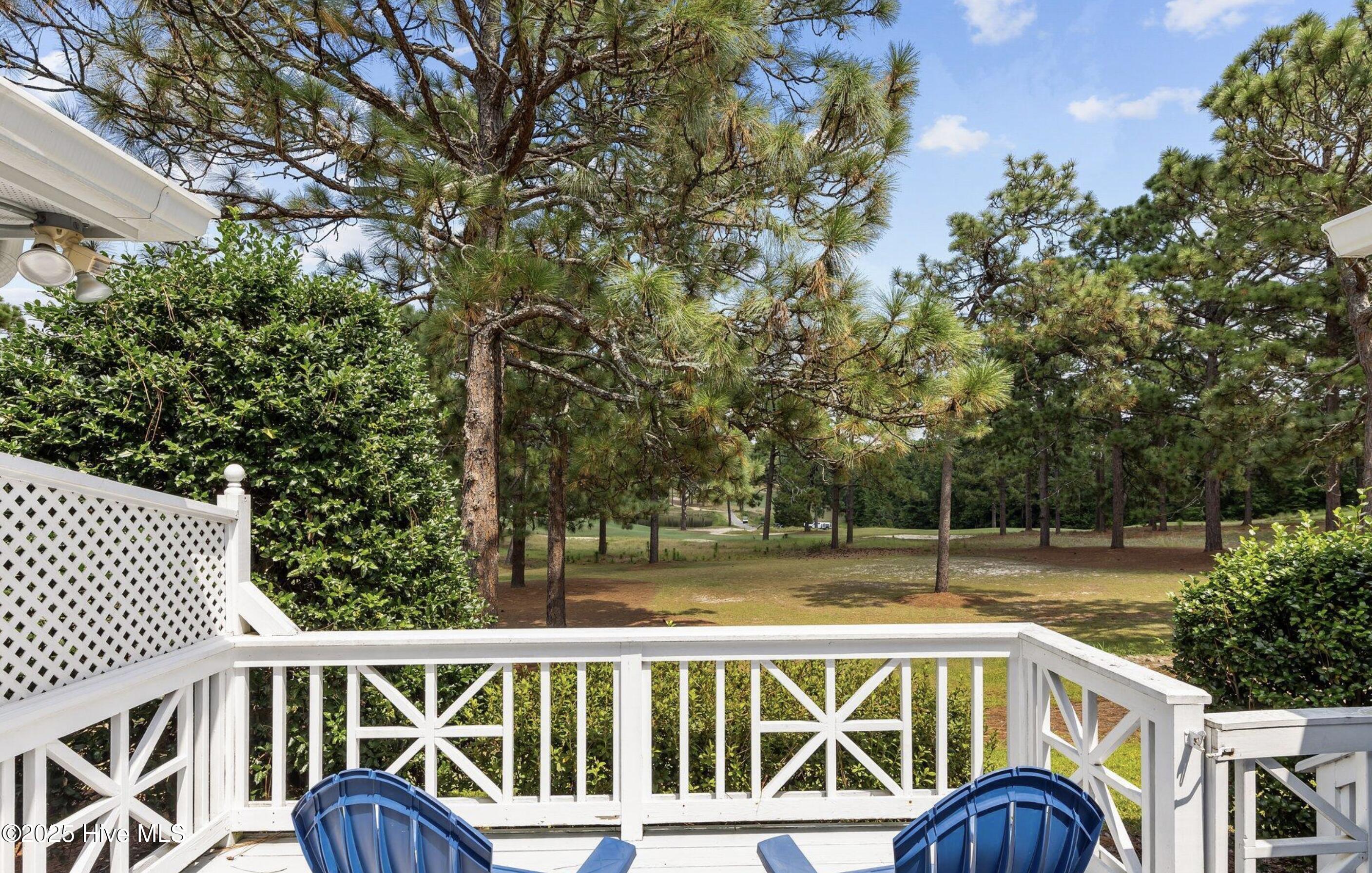 227 Knoll Road Southern Pines, NC 28387 - Photo 23 of 23 Backyard View