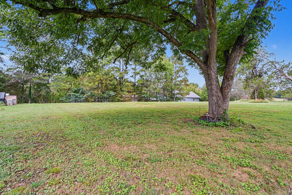 0 Carl Wood Road Rocky Face, GA 30740 - Photo 7 of 58 Gallery Image 7