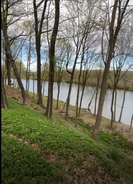 Annotation 2025-03-31 130055