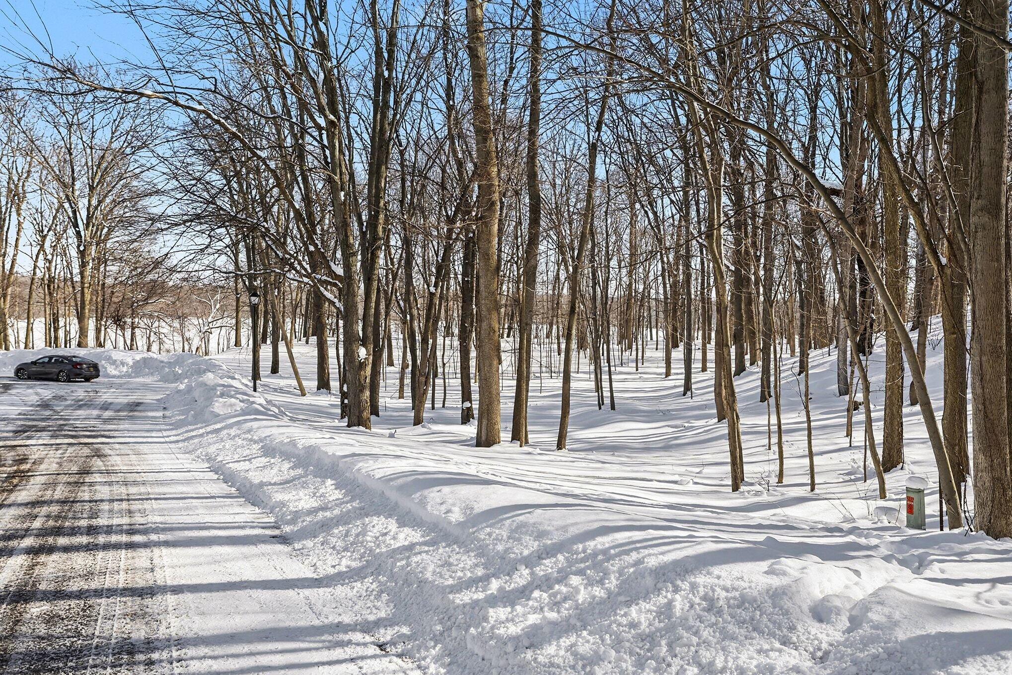 2348 Spring Arbor St. Joseph, MI 49085 - Photo 11 of 21 003_file_3787