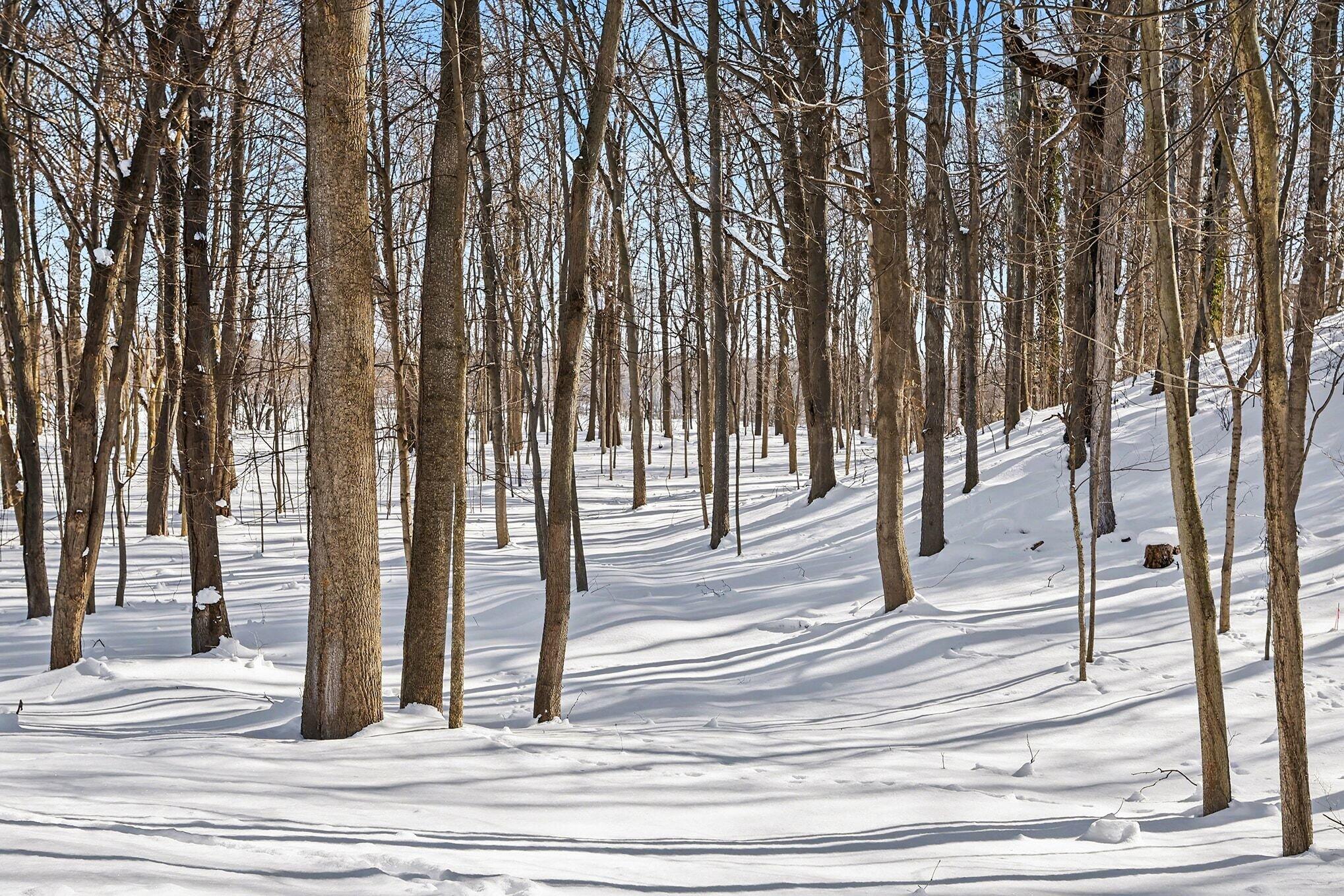 2348 Spring Arbor St. Joseph, MI 49085 - Photo 12 of 21 004_file_8438