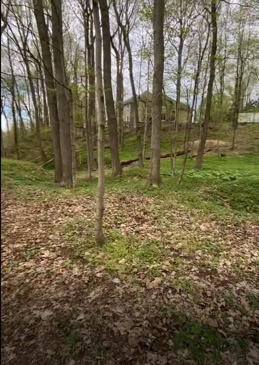 2348 Spring Arbor St. Joseph, MI 49085 - Photo 4 of 21 Annotation 2025-03-31 130206