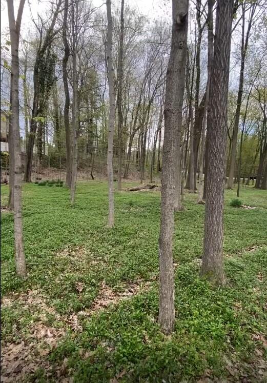 2348 Spring Arbor St. Joseph, MI 49085 - Photo 5 of 21 Annotation 2025-03-31 130135