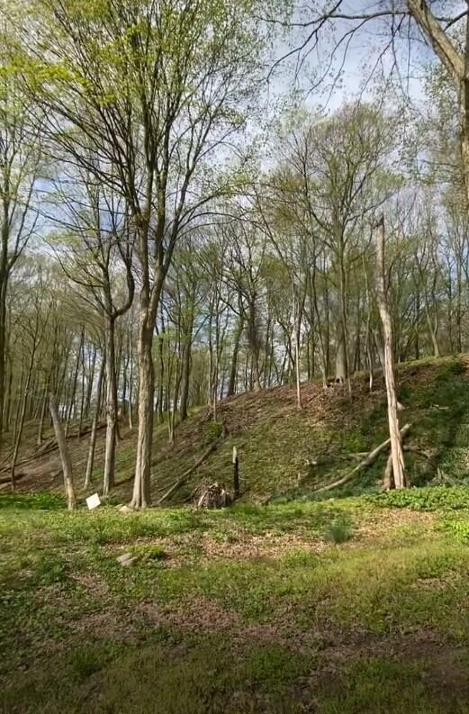 2348 Spring Arbor St. Joseph, MI 49085 - Photo 6 of 21 Annotation 2025-03-31 130012