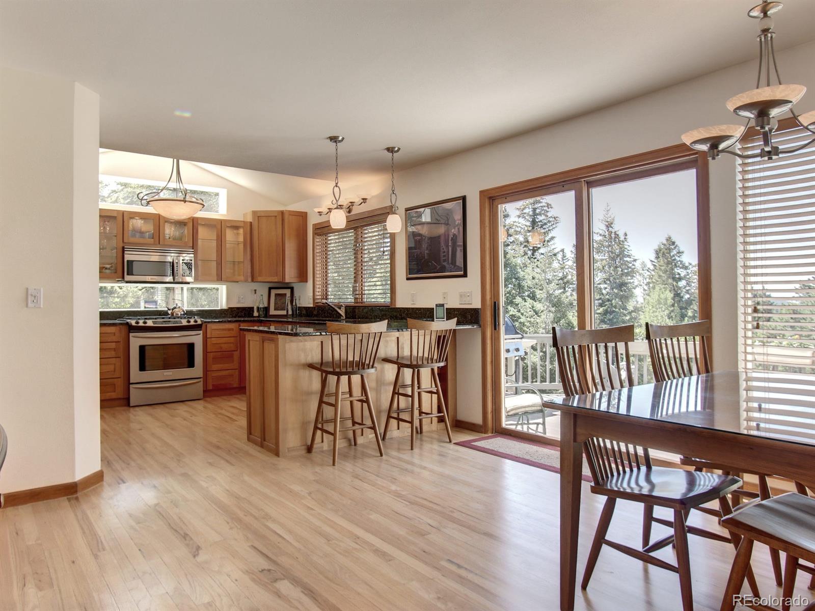 31017 Witteman Road Conifer, CO 80433 - Photo 10 of 31 Gallery Image 10