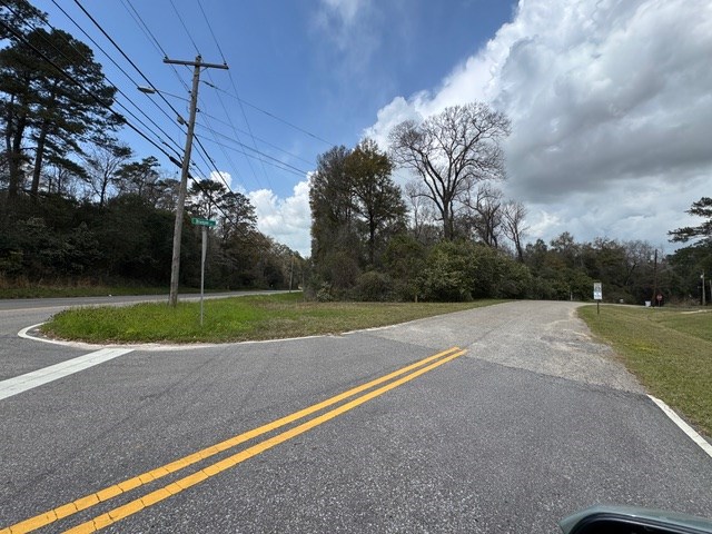 0 Davis Street Elba, AL 36323 - Photo 8 of 14