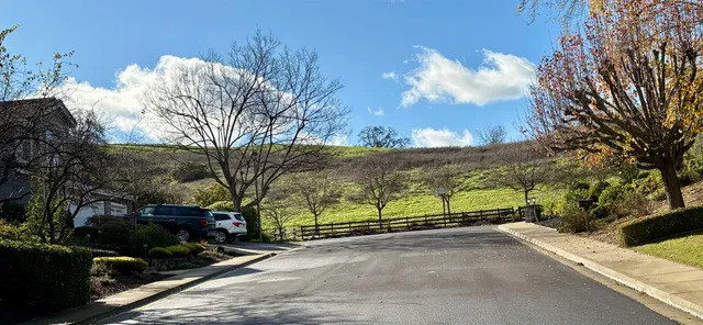 $2,590,000 | 36 Savona Court, Danville, CA 94526