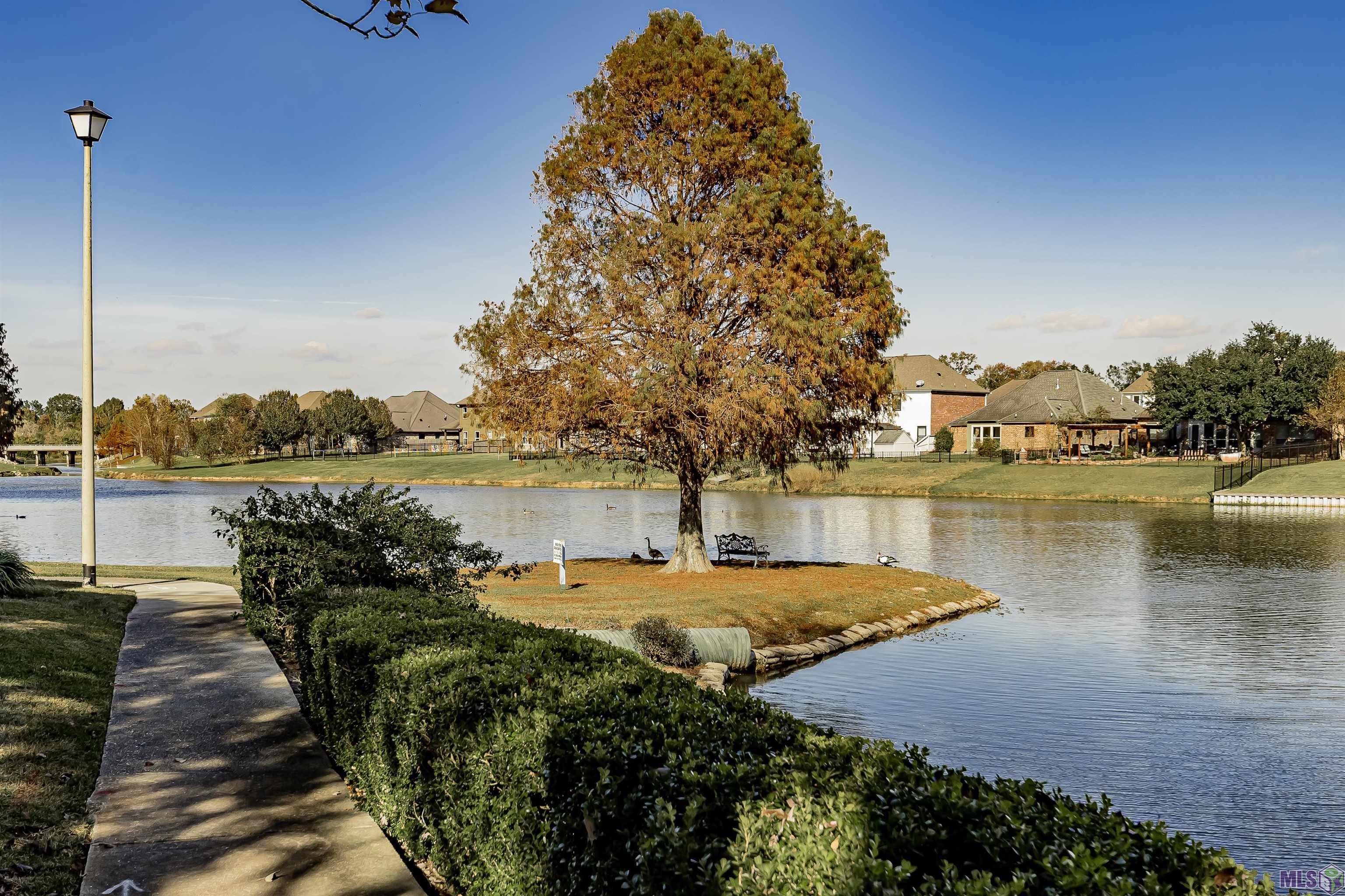 2413 Shadowbrook Drive Baton Rouge, LA 70816 - Photo 17 of 19