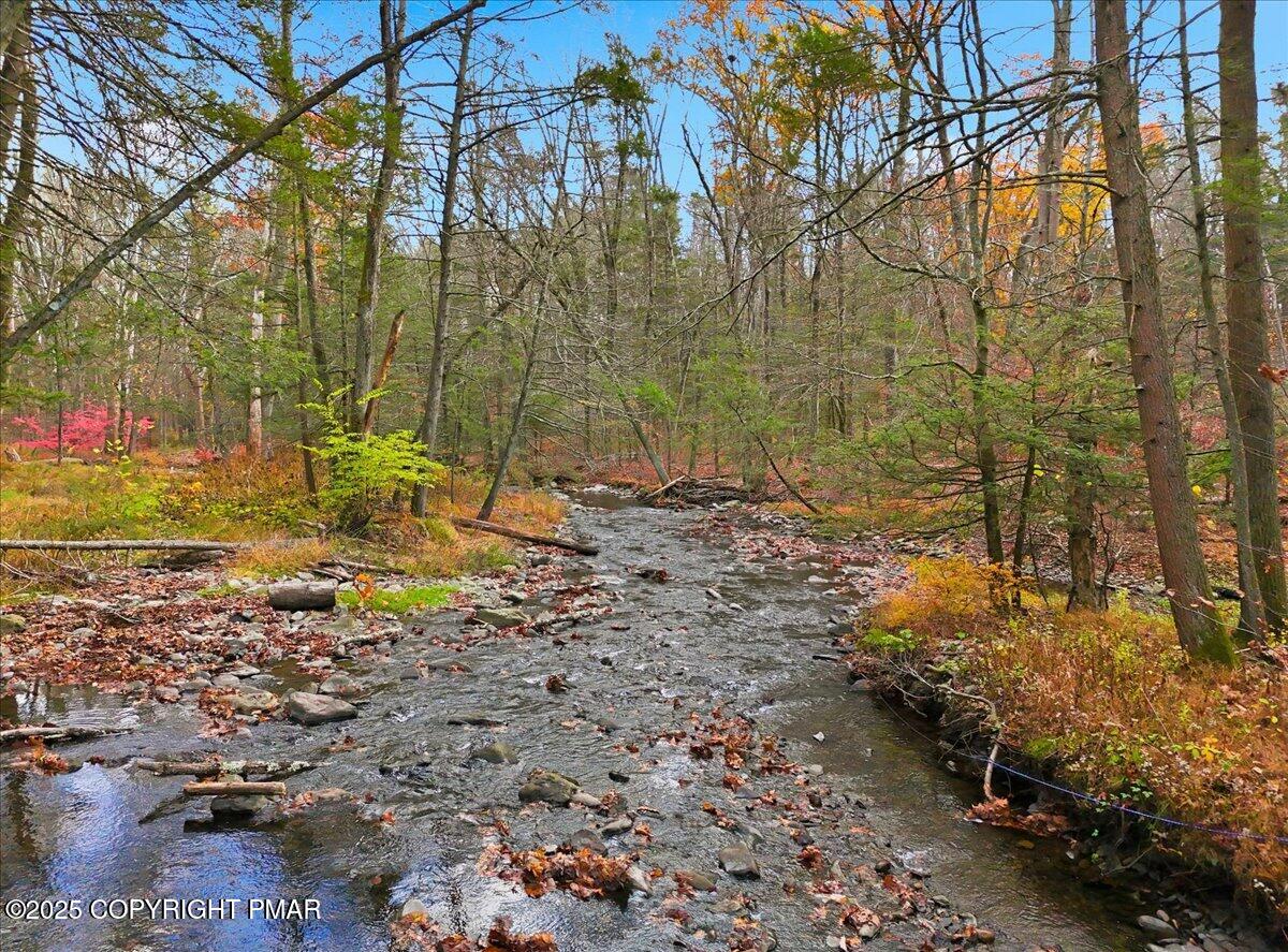 563 Pensyl Creek Road Stroudsburg, PA 18360 - Photo 119 of 143 a view of a yard with trees
