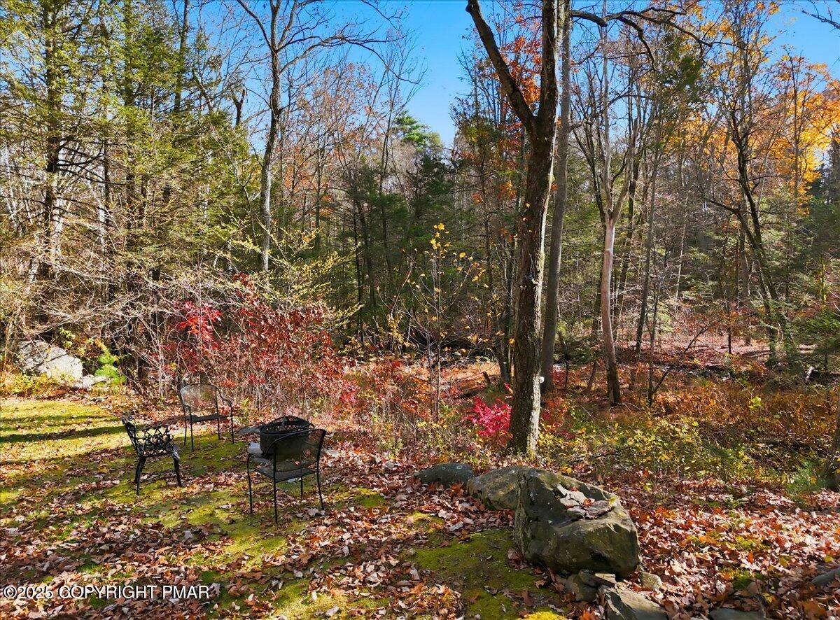 563 Pensyl Creek Road Stroudsburg, PA 18360 - Photo 130 of 143 Back yard