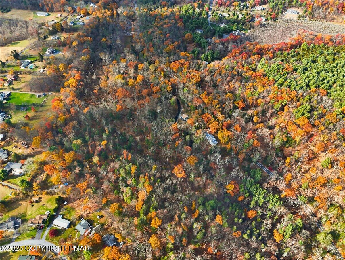 563 Pensyl Creek Road Stroudsburg, PA 18360 - Photo 136 of 143 a view of a tree
