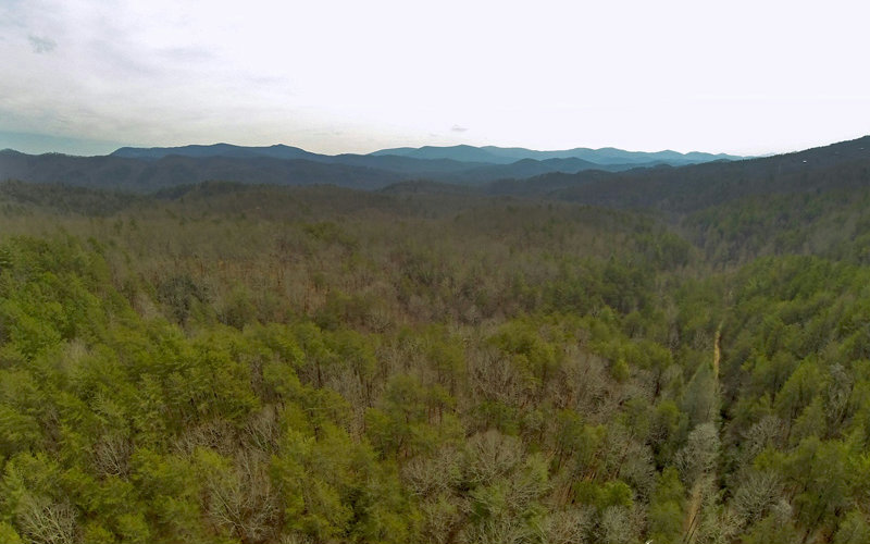 Maxwell Road Blue Ridge, GA 30513 - Photo 1 of 4 Main View