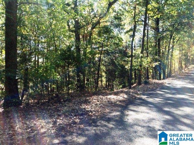 0 Whispering Pines Road, Unit 1 AMD 2 Oxford, AL 36203 - Photo 24 of 30