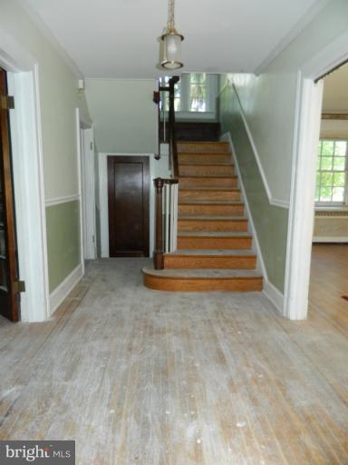 509 Woodside Road Baltimore, MD 21229 - Photo 17 of 28 Foyer