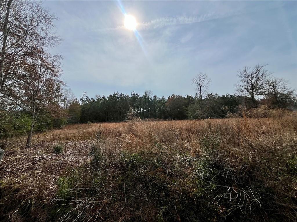 31050 Hubert Stilley Road Independence, LA 70443 - Photo 2 of 5