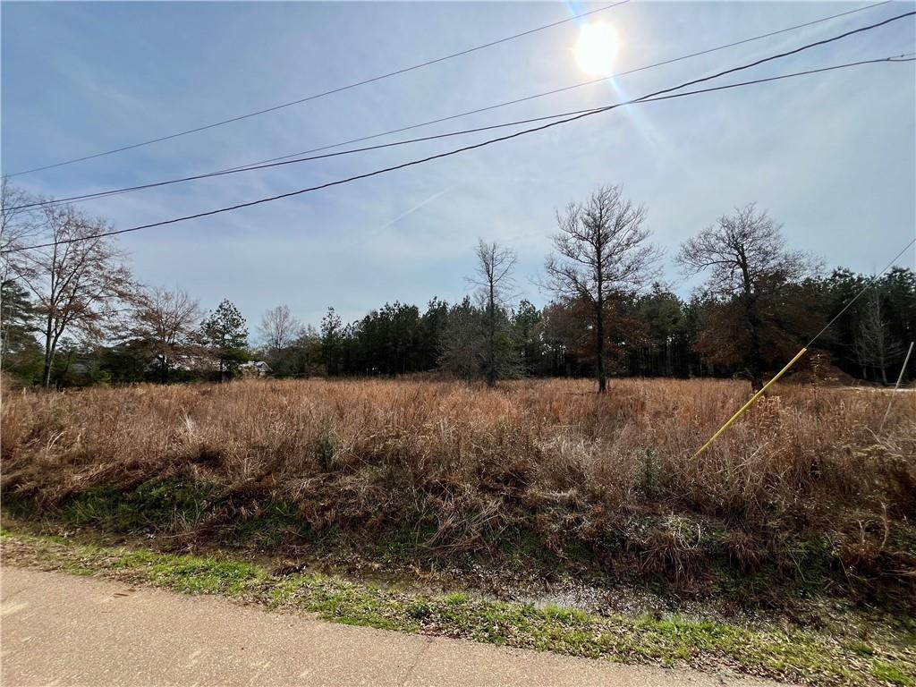 31050 Hubert Stilley Road Independence, LA 70443 - Photo 3 of 5