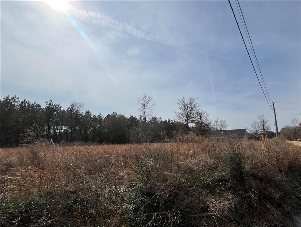 31050 Hubert Stilley Road Independence, LA 70443 - Photo 4 of 5