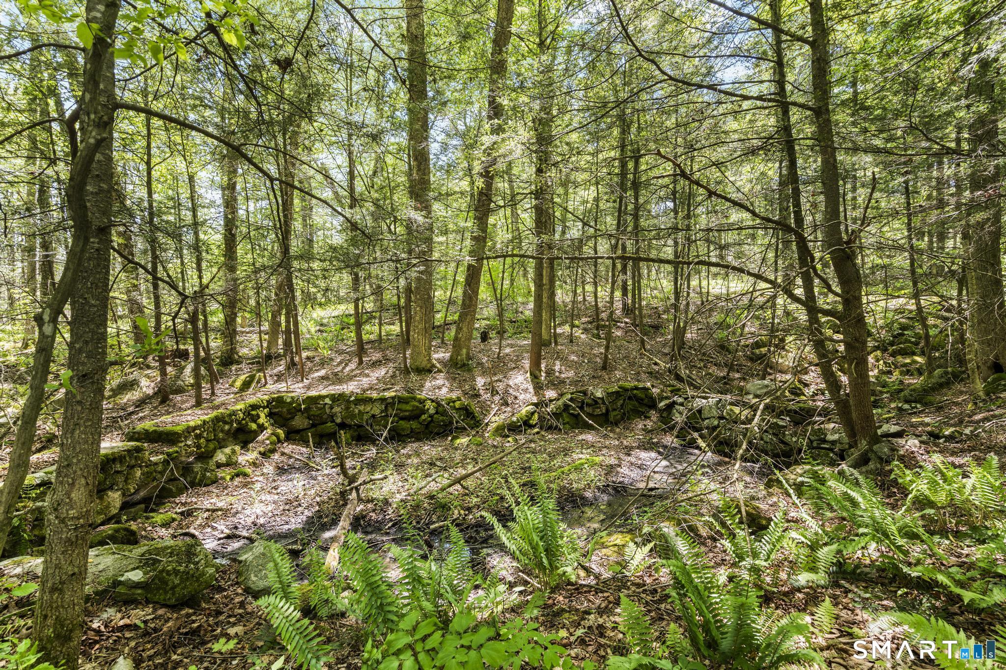 321 Colebrook Road Winchester, CT 06098 - Photo 35 of 39