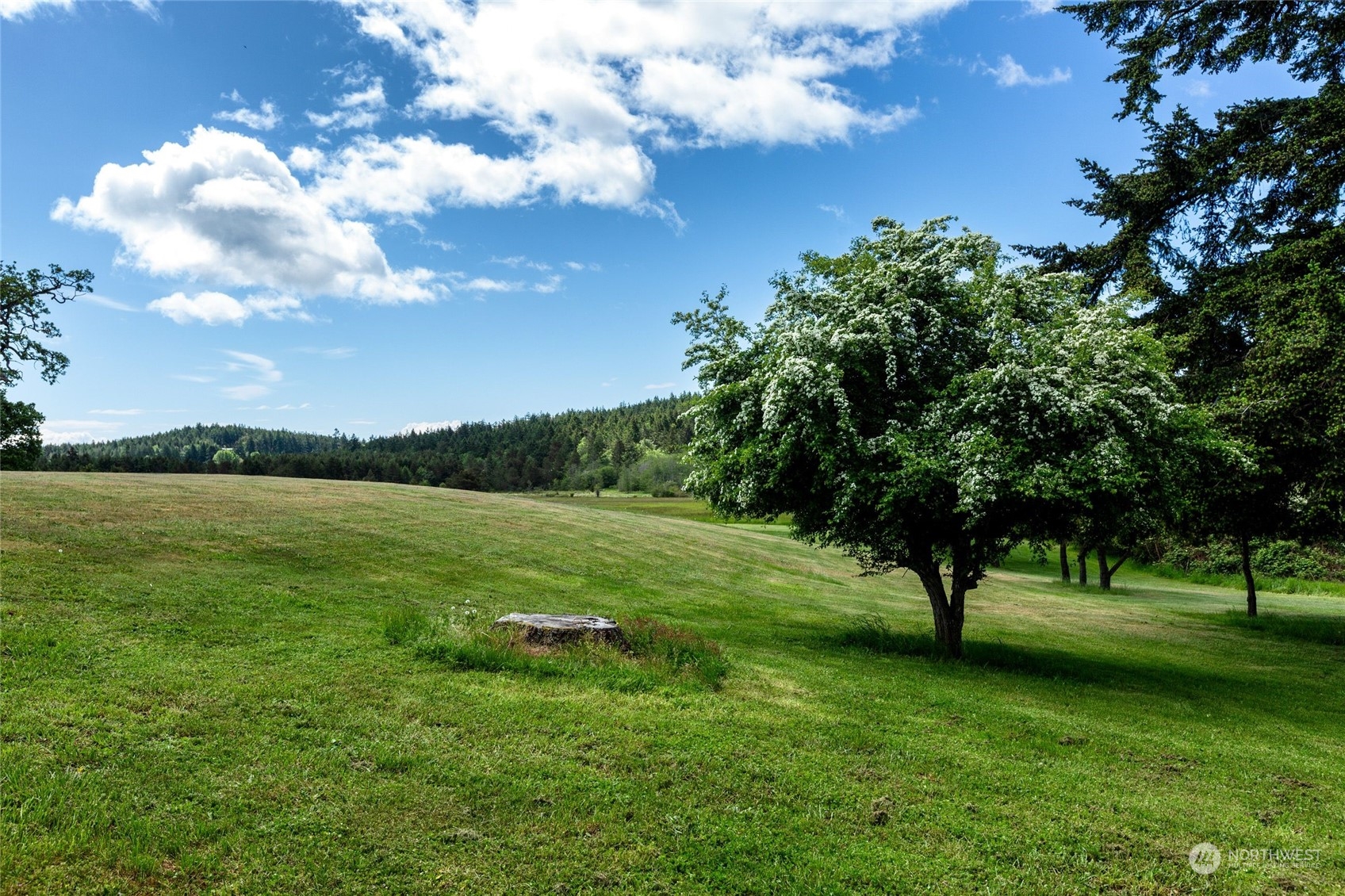 1785 Douglas Road, Unit 35 Friday Harbor, WA 98250 - Photo 33 of 35