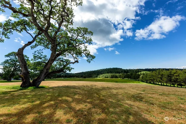 $239,000 | 1785 Douglas Road, Unit 35, Friday Harbor, WA 98250