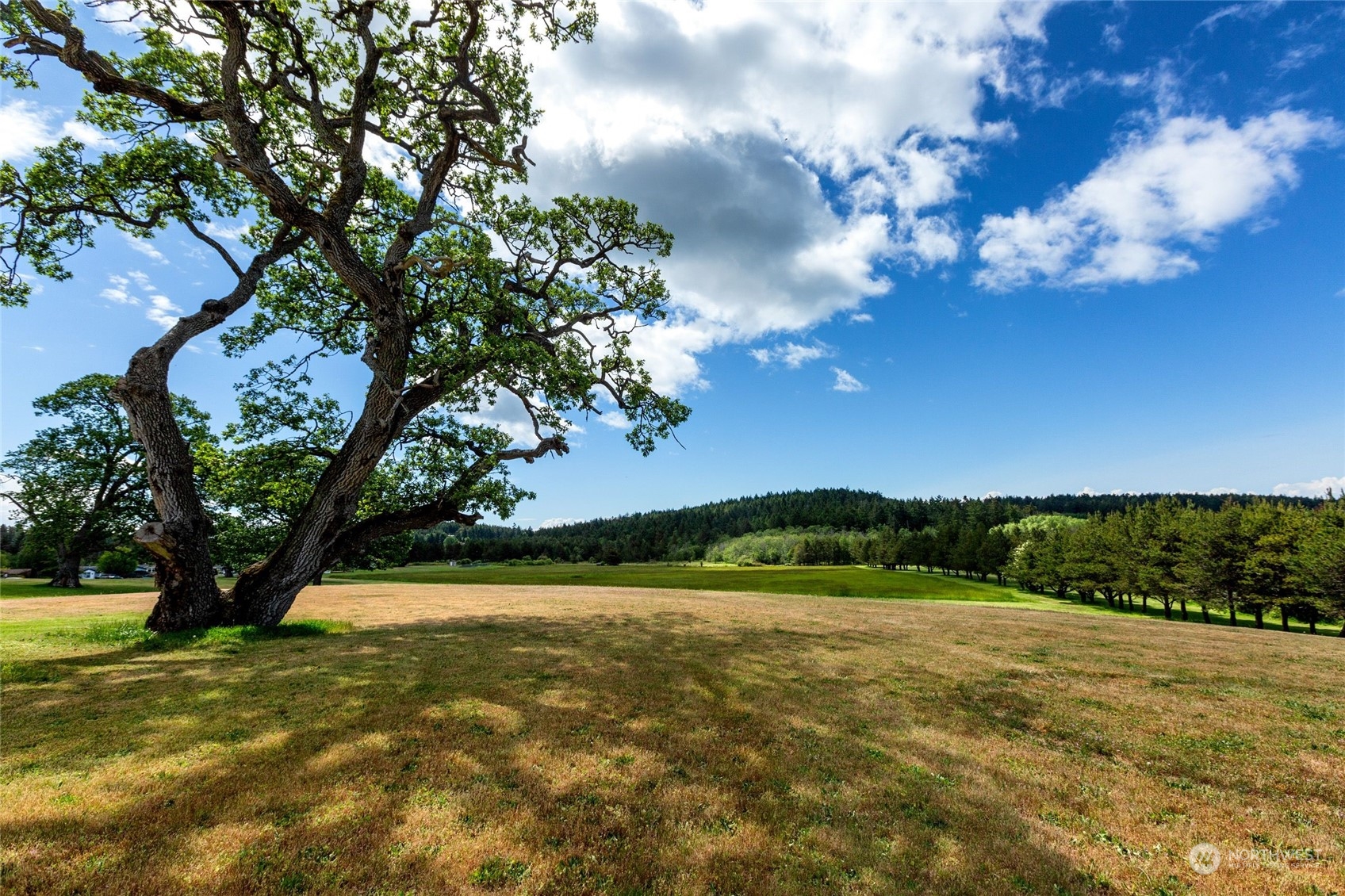 1785 Douglas Road, Unit 35 Friday Harbor, WA 98250 - Photo 34 of 35