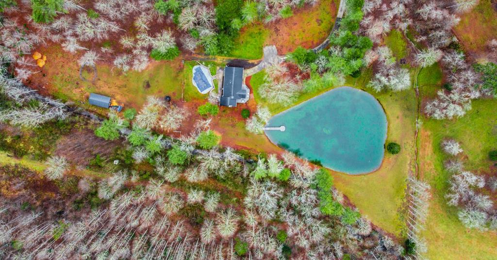 960 Coles Crossing Road Mineral Bluff, GA 30559 - Photo 2 of 57