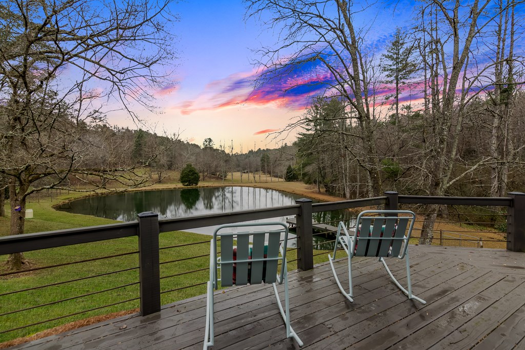 960 Coles Crossing Road Mineral Bluff, GA 30559 - Photo 3 of 57